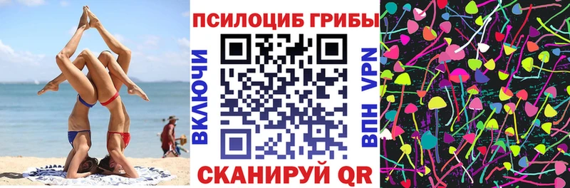 Галлюциногенные грибы прущие грибы  ссылка на мегу как войти  Болхов  где можно купить наркотик 